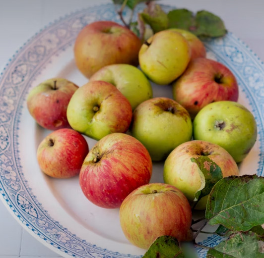 10 международных блюд с яблоками